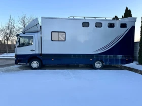 Mercedes-Benz Atego Животновоз, снимка 4