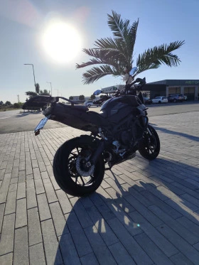 Yamaha Mt-09, снимка 6