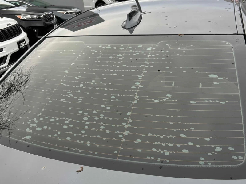 BMW 330 * 330i xDrive * CARFAX * БЕЗ ПЪРВОНАЧАЛНА ВНОСКА, снимка 10 - Автомобили и джипове - 53023015