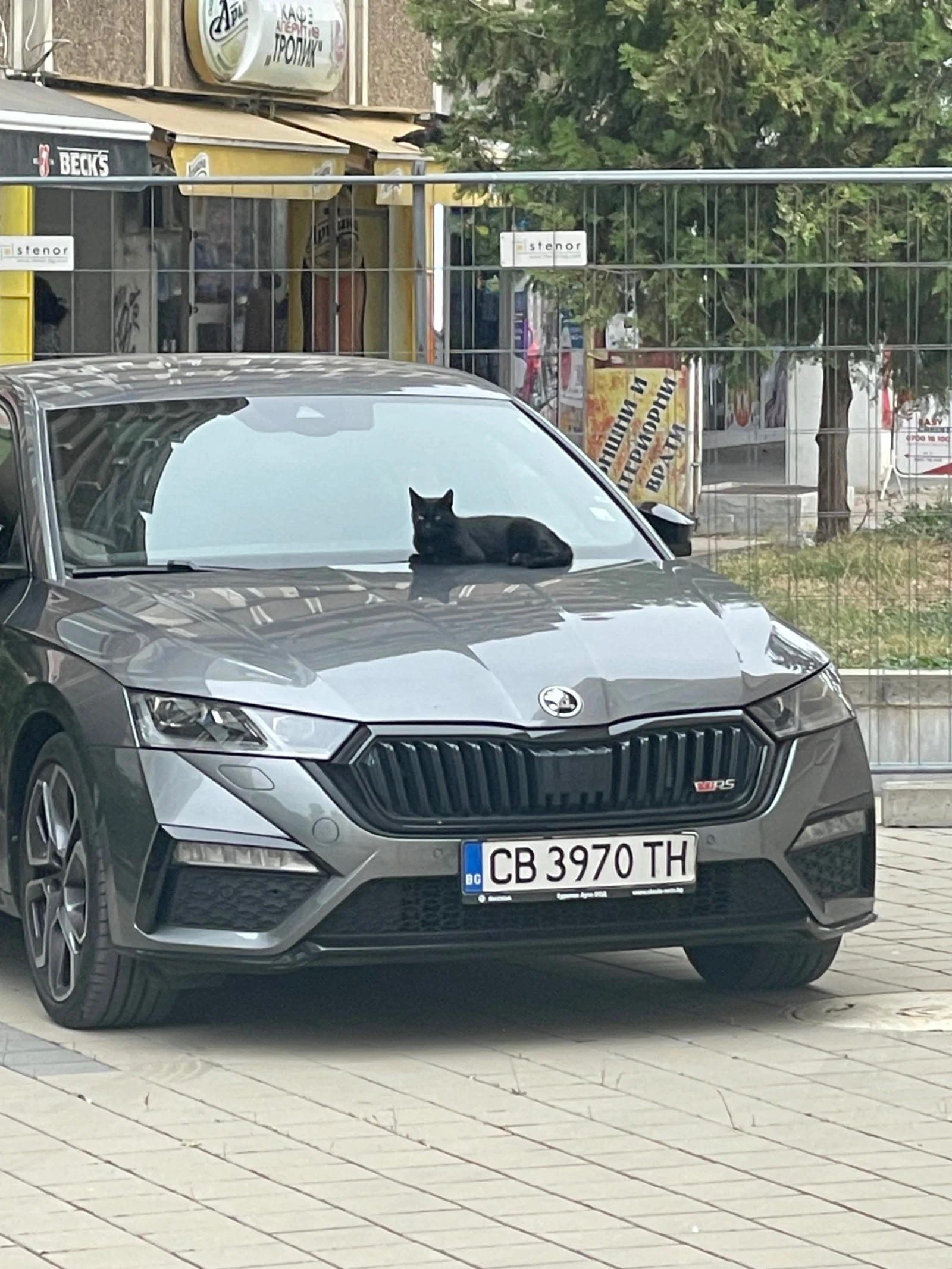 Skoda Octavia | Mobile.bg   12