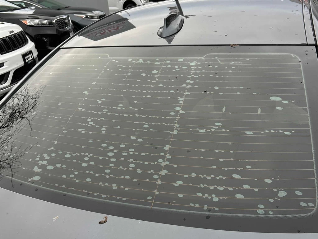 BMW 330 * 330i xDrive * CARFAX * ��� ������������ ������ | Mobile.bg � ����������� 10