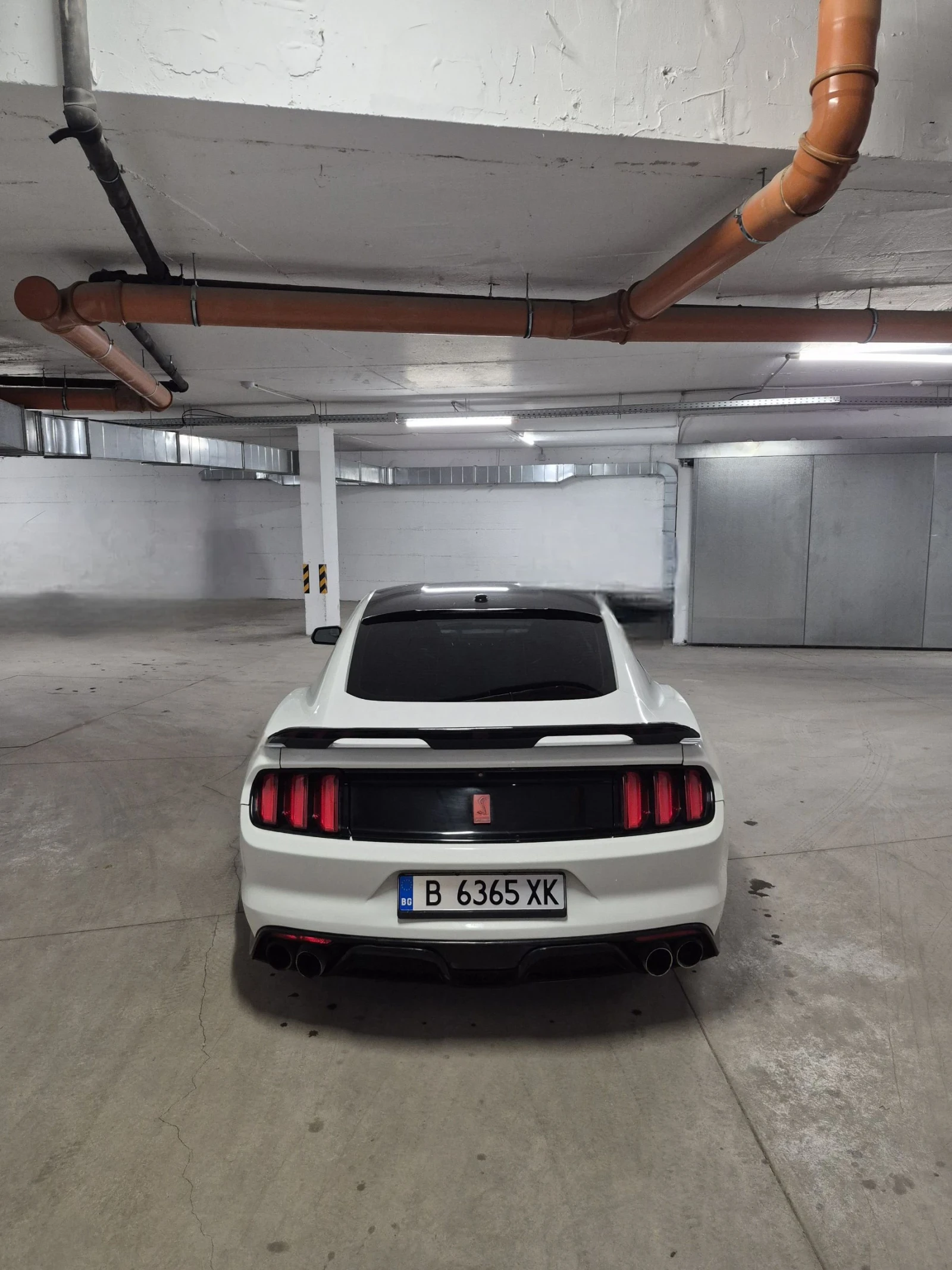 Ford Mustang 5.0 Shelby Pack - изображение 4
