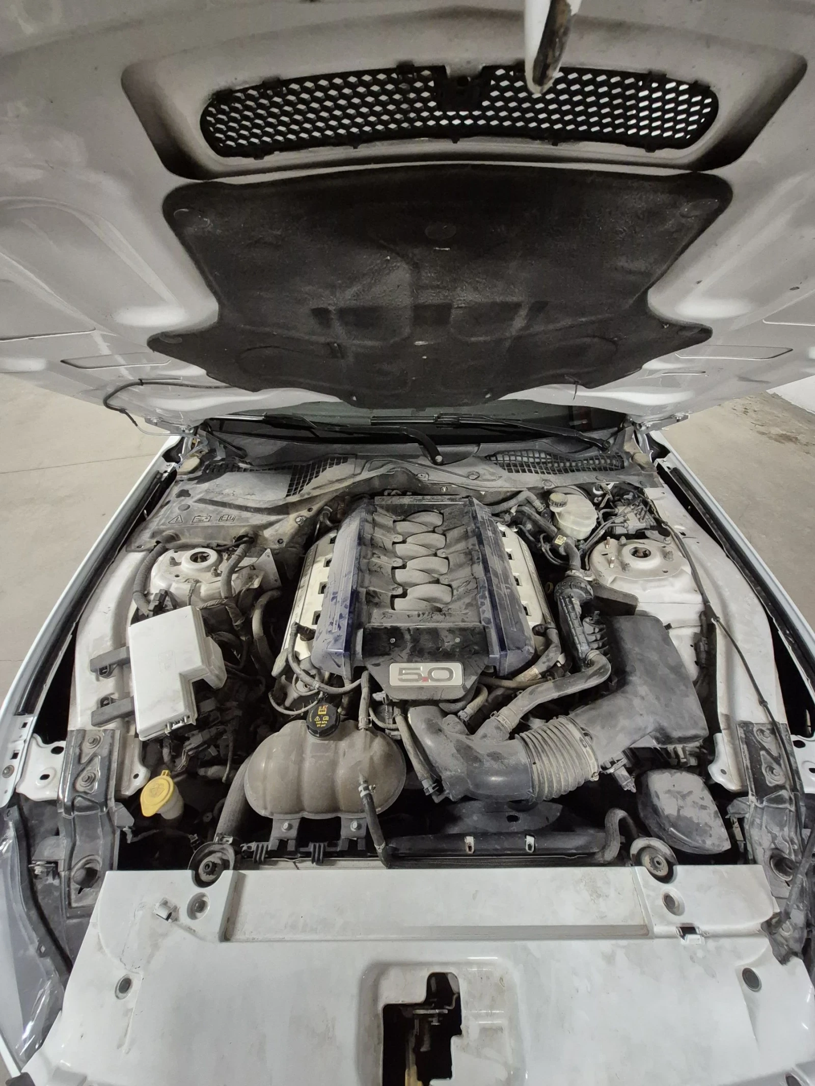 Ford Mustang 5.0 Shelby Pack, снимка 11 - Автомобили и джипове - 53640027