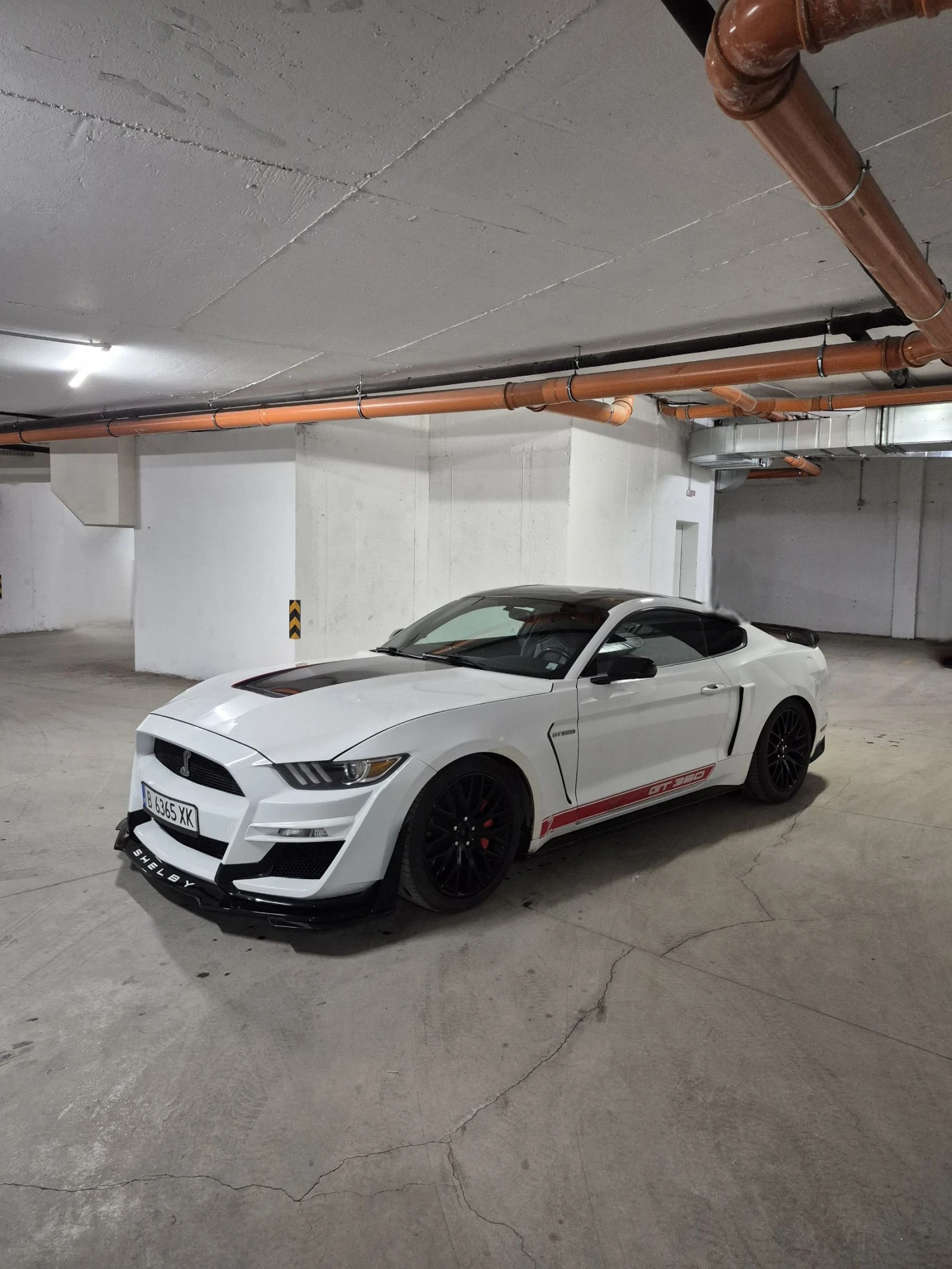 Ford Mustang 5.0 Shelby Pack - изображение 2