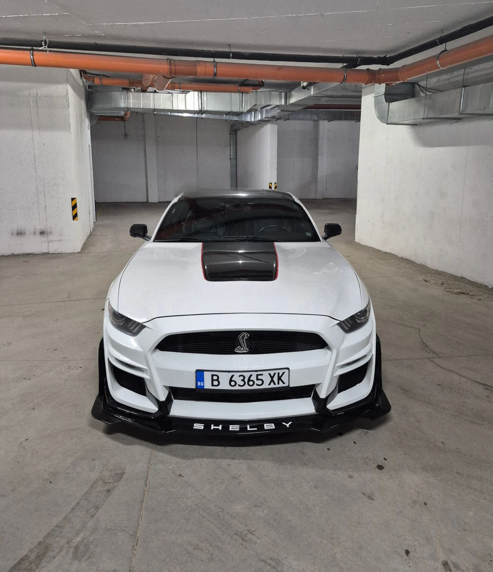 Ford Mustang 5.0 Shelby Pack