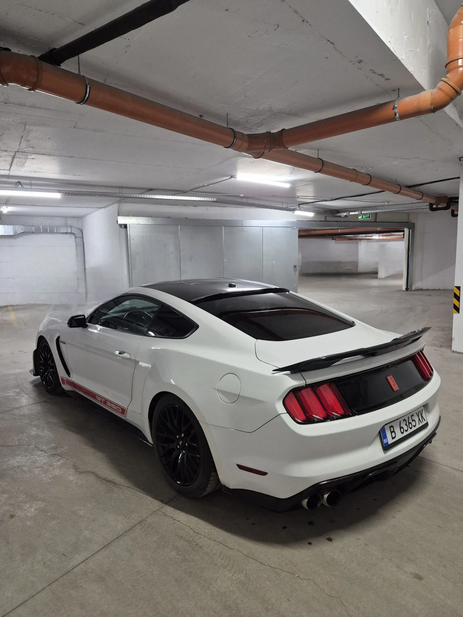 Ford Mustang 5.0 Shelby Pack - изображение 3