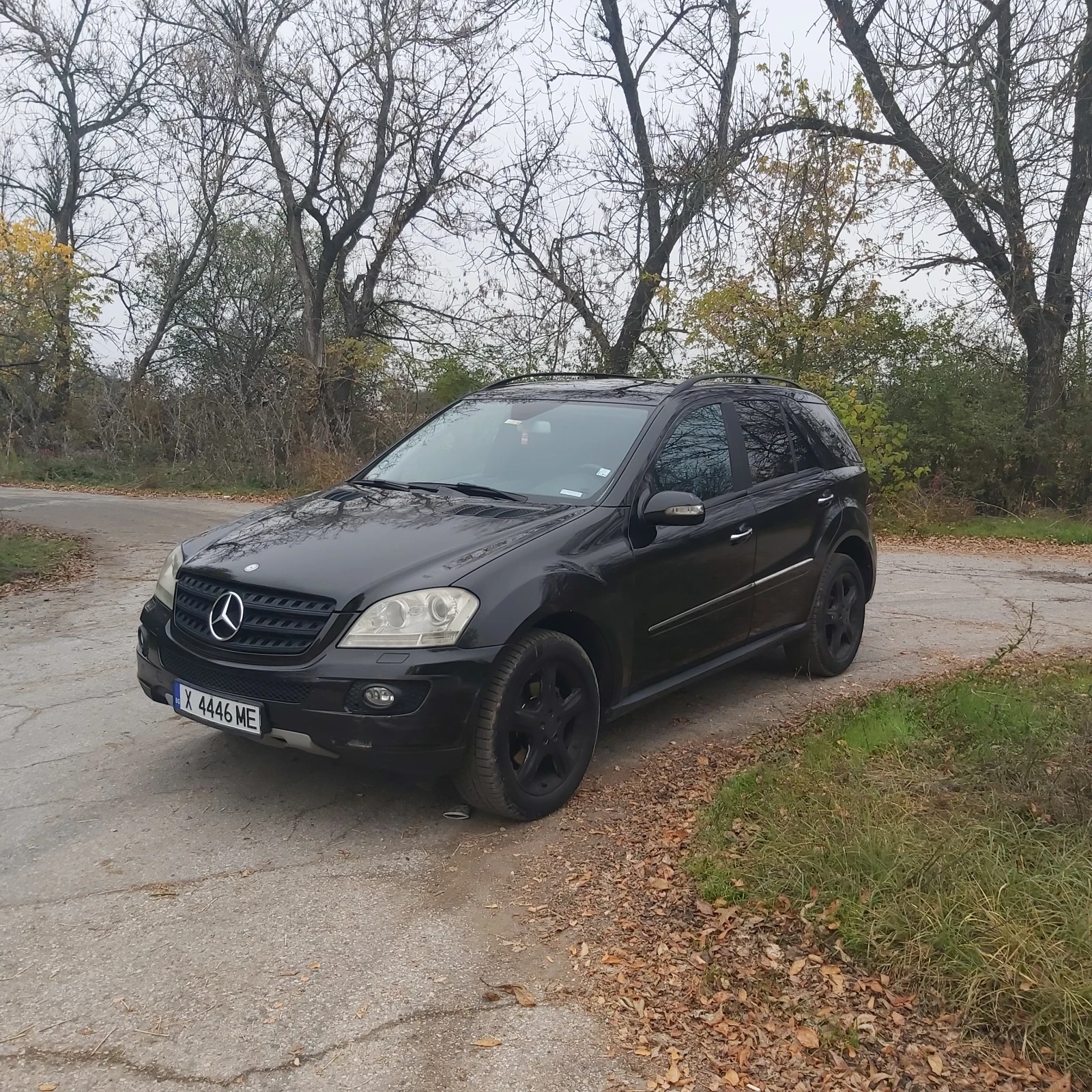 Mercedes-Benz ML 320 320 - изображение 3