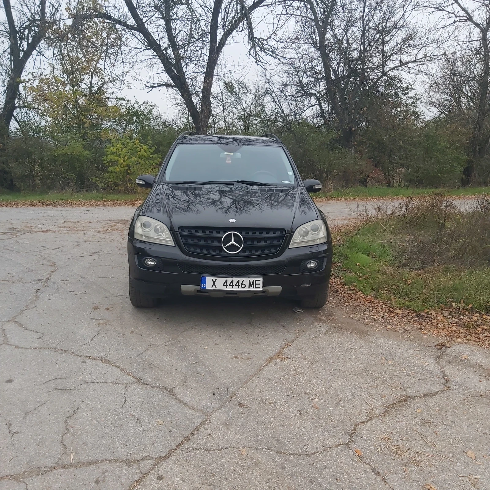 Mercedes-Benz ML 320 320 | Mobile.bg   1