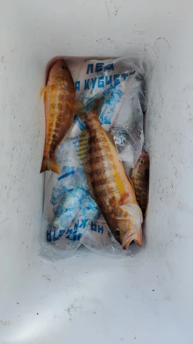 Моторна яхта Jeanneau, снимка 14