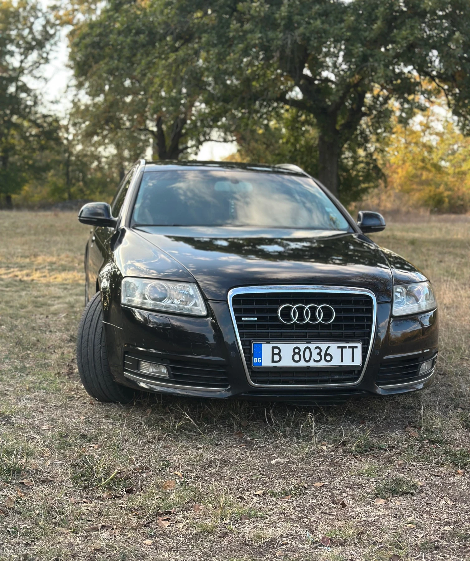 Audi A6, снимка 10 - Автомобили и джипове - 56444192