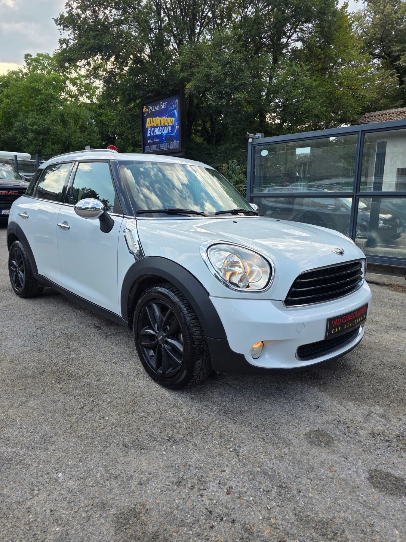 Mini Countryman D