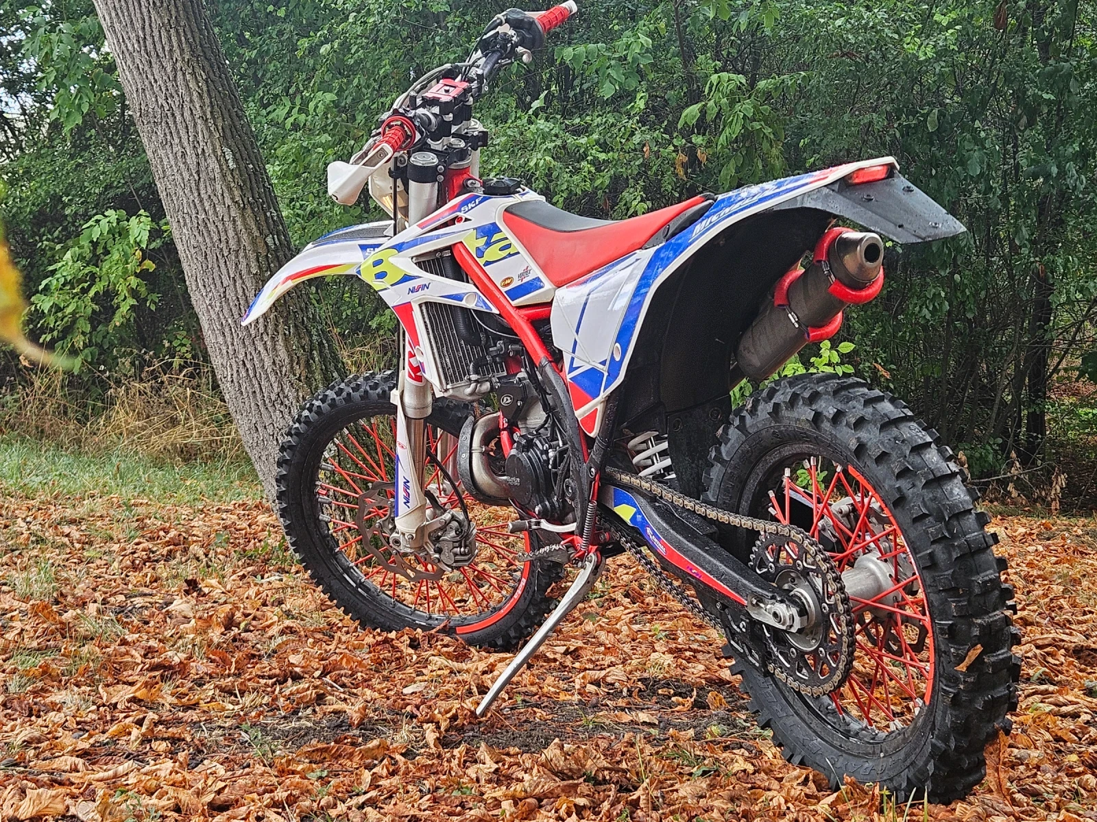 Beta Rr 300  - изображение 3