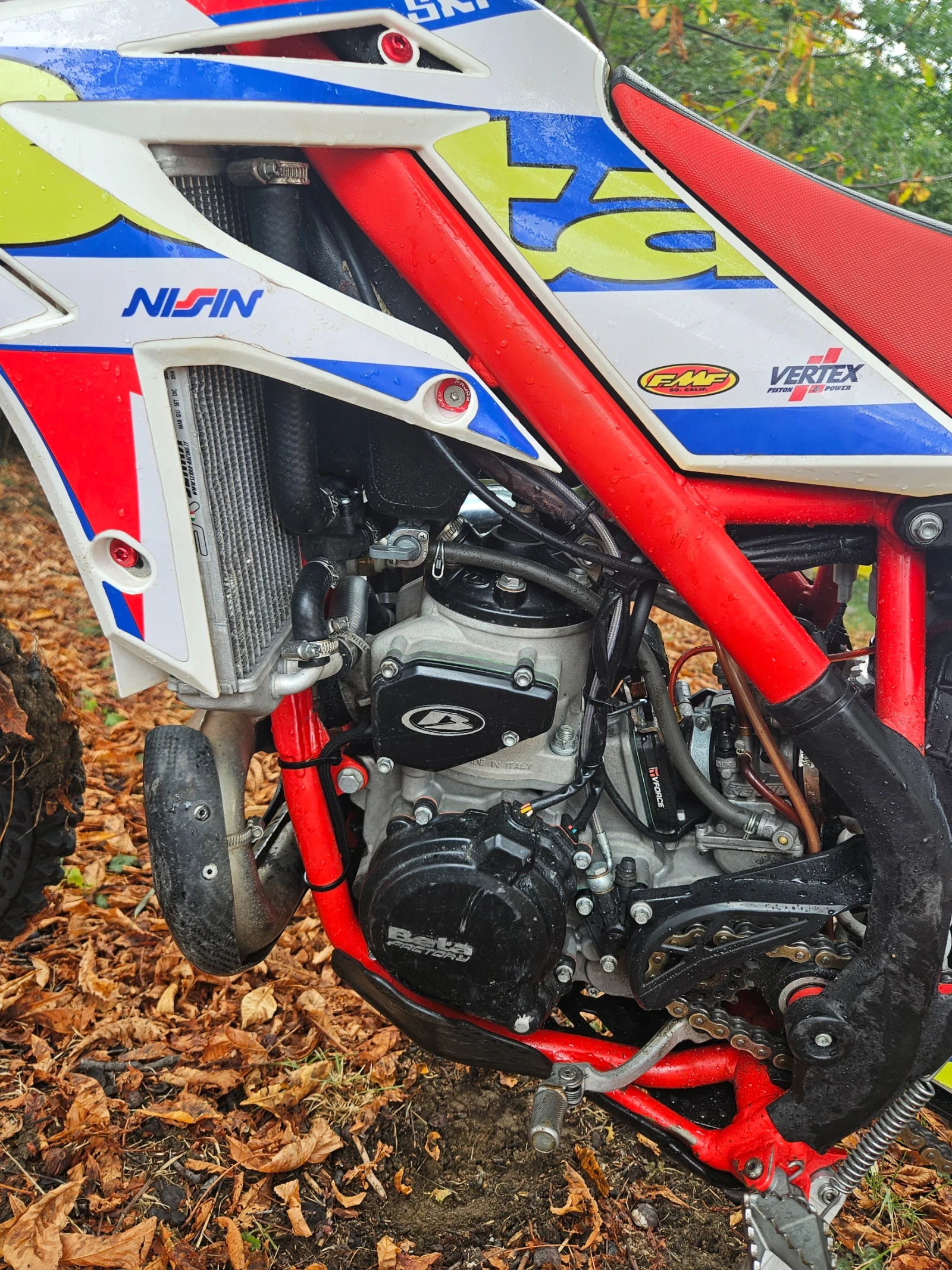 Beta Rr 300  - изображение 5