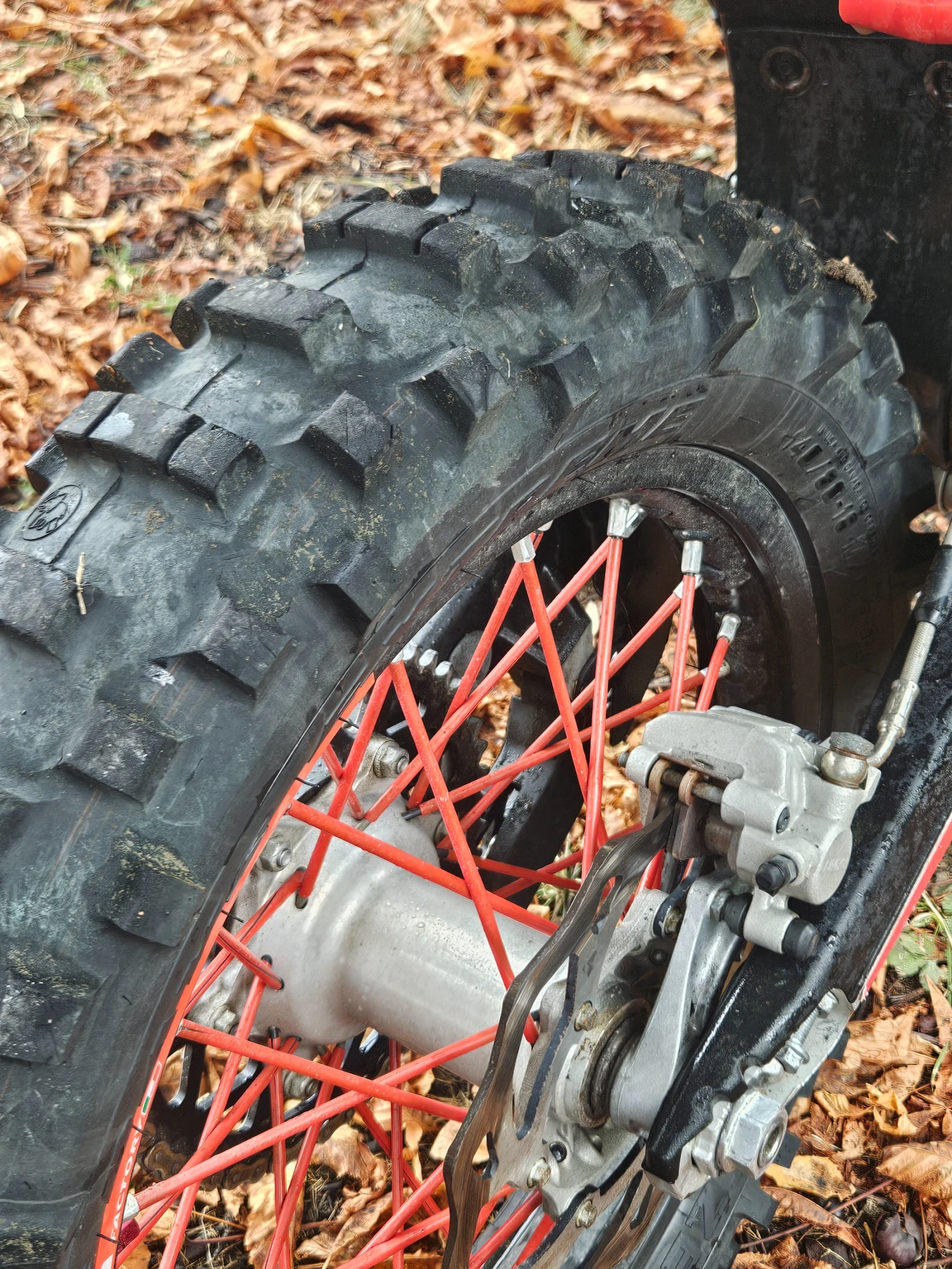 Beta Rr 300  - изображение 8