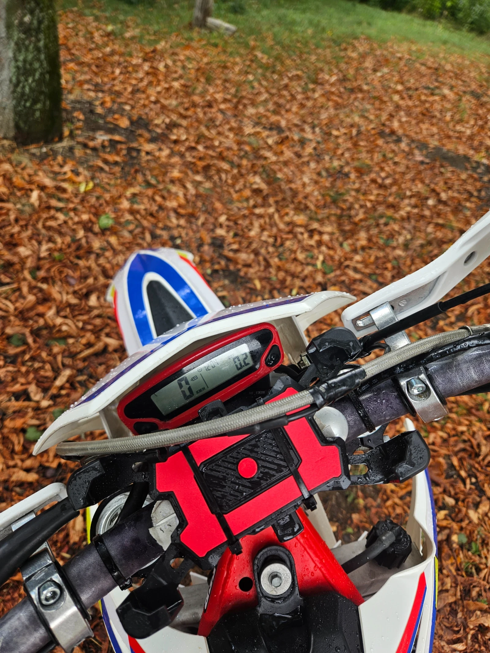 Beta Rr 300  - изображение 10