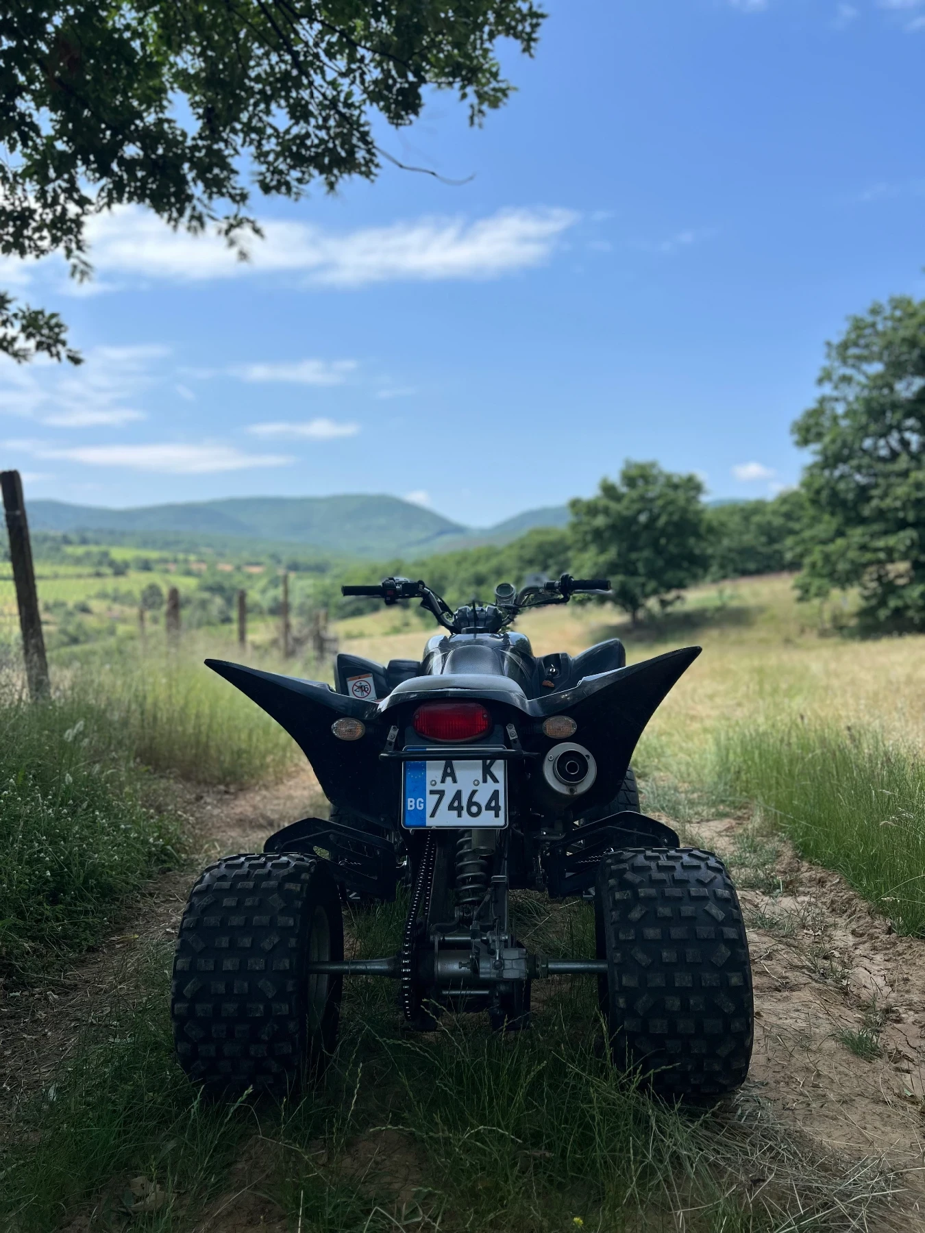 Yamaha Raptor Raptor 350 - изображение 4