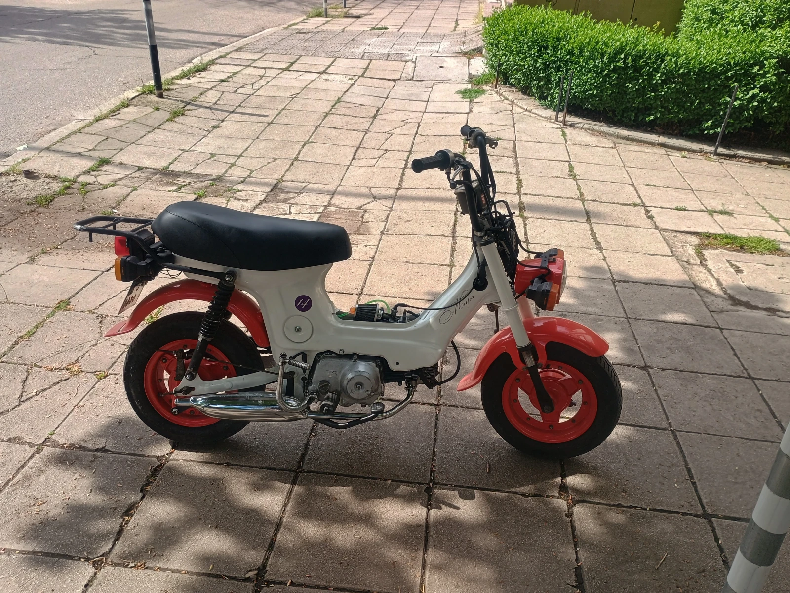 Honda Monkey