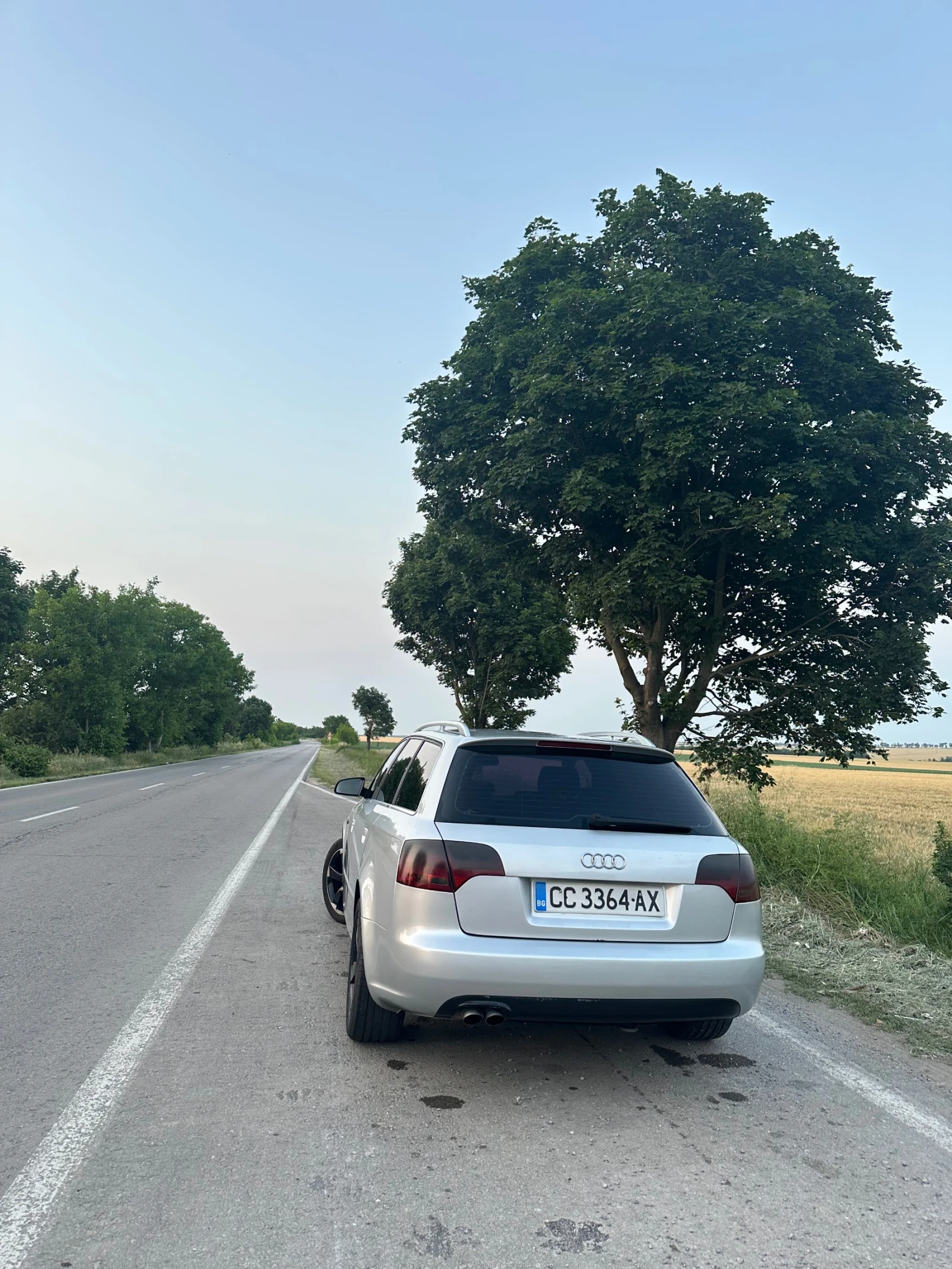 Audi A4 Audi A4 B7 2.0 140, снимка 3 - Автомобили и джипове - 54285695