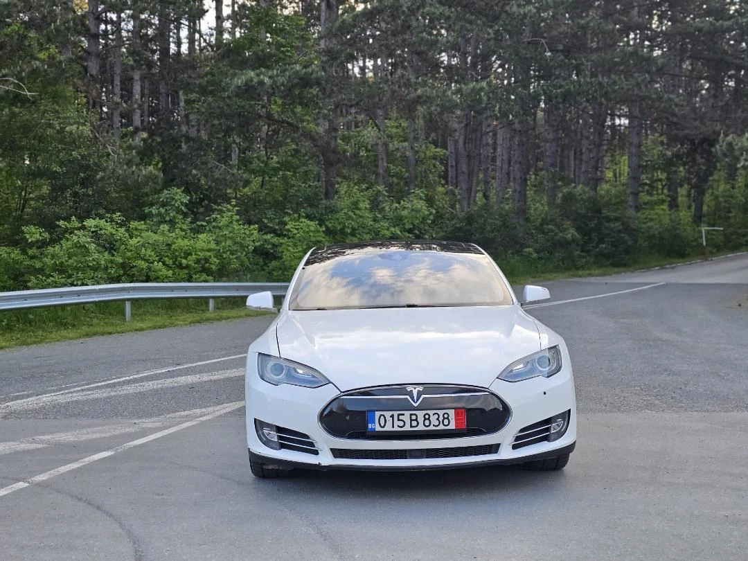 Tesla Model S Performance EU  - изображение 2