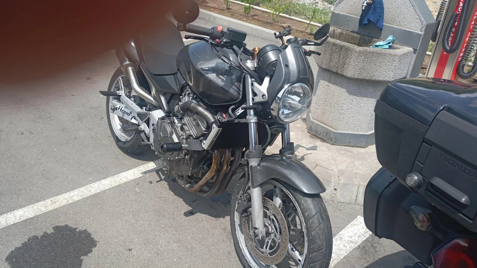Honda Hornet