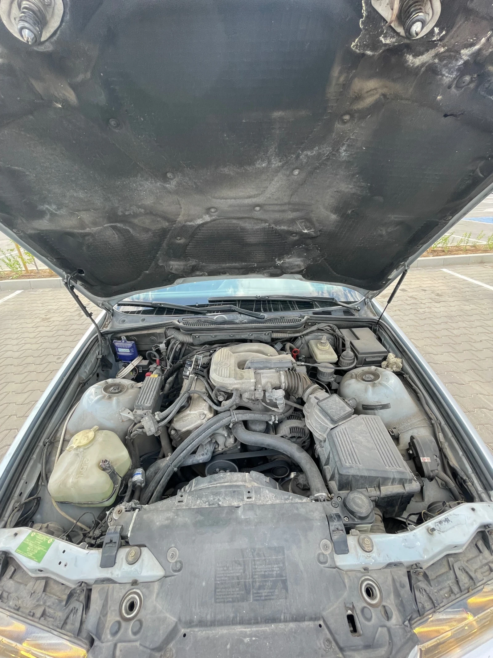 BMW 318  - изображение 6