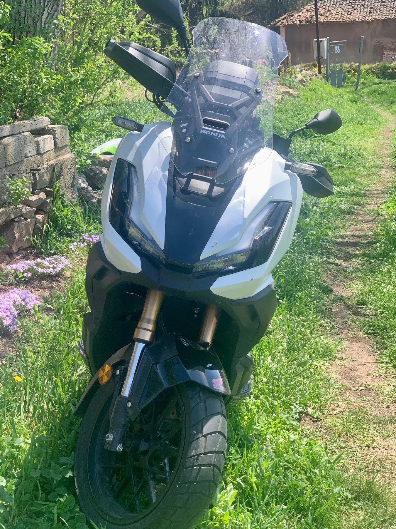 Honda 250 ADV 350 - изображение 5