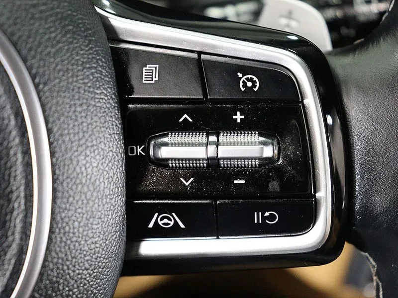 Kia Sorento Diesel 2.2 2Wd Noblesse, снимка 10 - Автомобили и джипове - 56119100