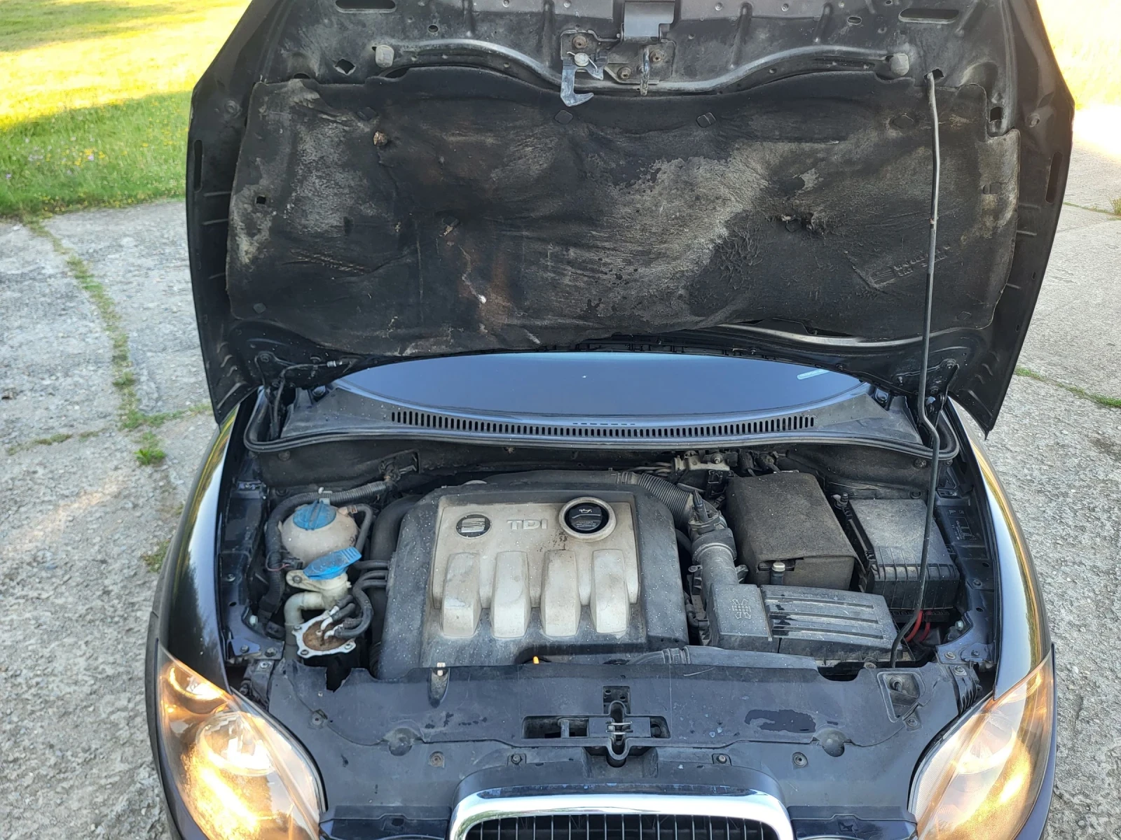 Seat Altea | Mobile.bg � ����������� 9