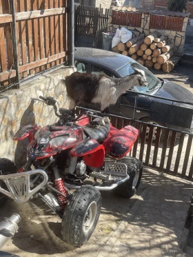 Polaris Outlaw Predator , снимка 3