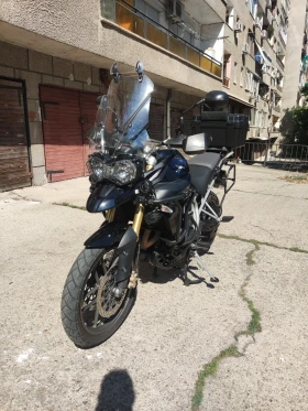  Triumph Tiger