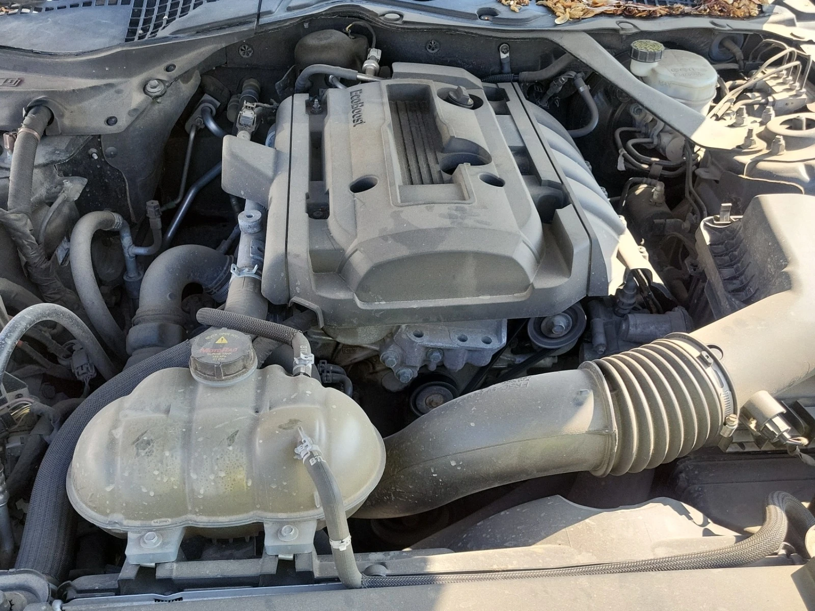 Ford Mustang ECO BOOST * * CARFAX * * АВТО КРЕДИТ * *  - изображение 9
