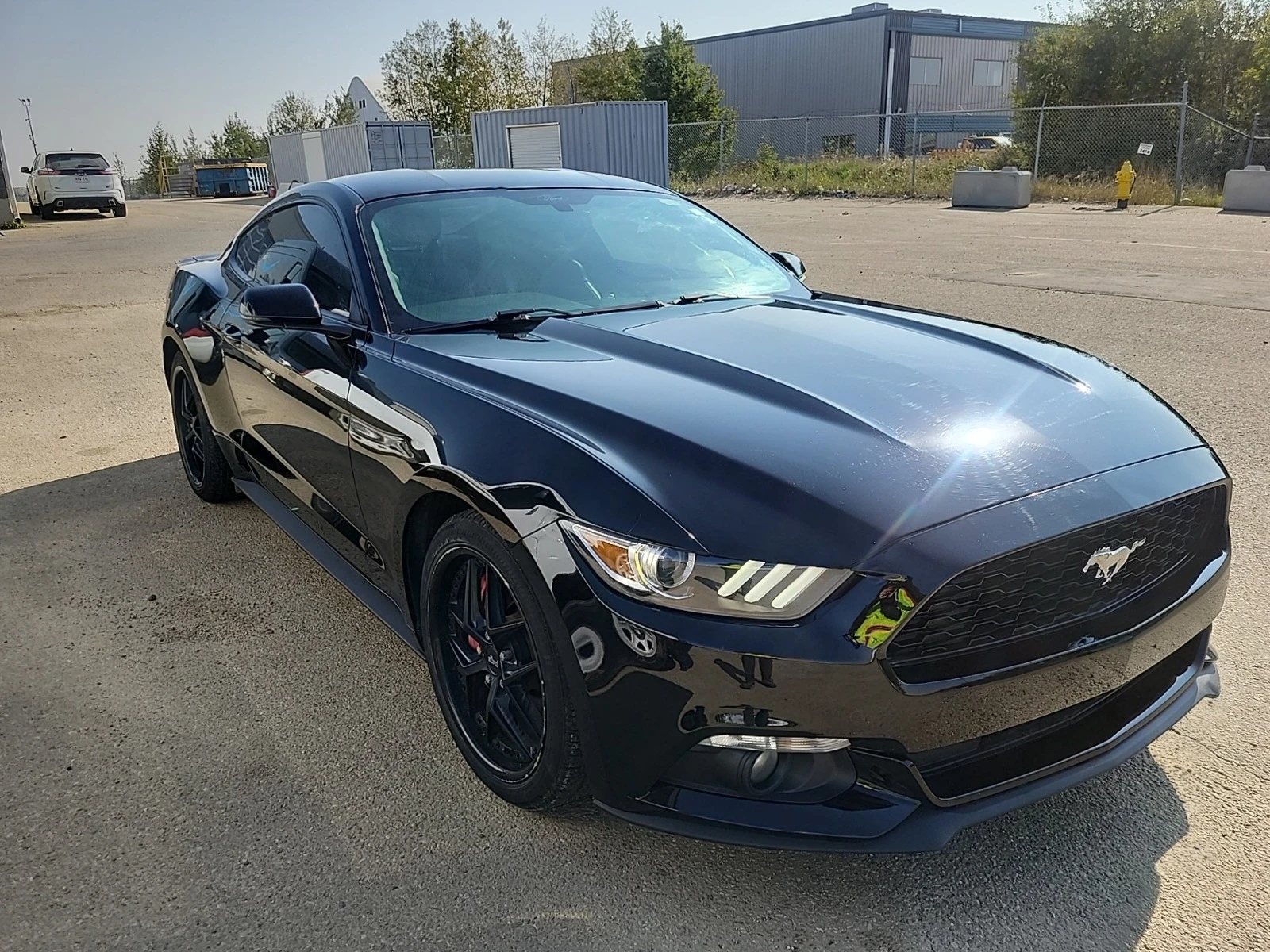 Ford Mustang ECO BOOST * * CARFAX * * АВТО КРЕДИТ * *  - изображение 2