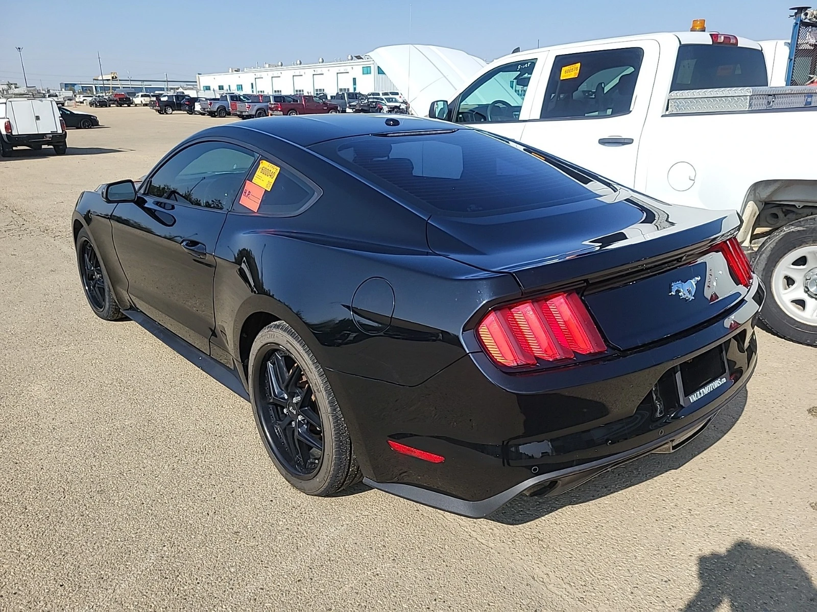 Ford Mustang ECO BOOST * * CARFAX * * АВТО КРЕДИТ * *  - изображение 4