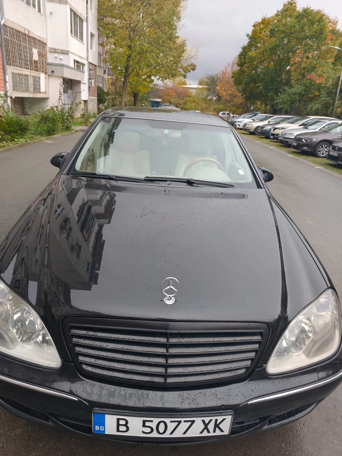 Mercedes-Benz S 320 Face