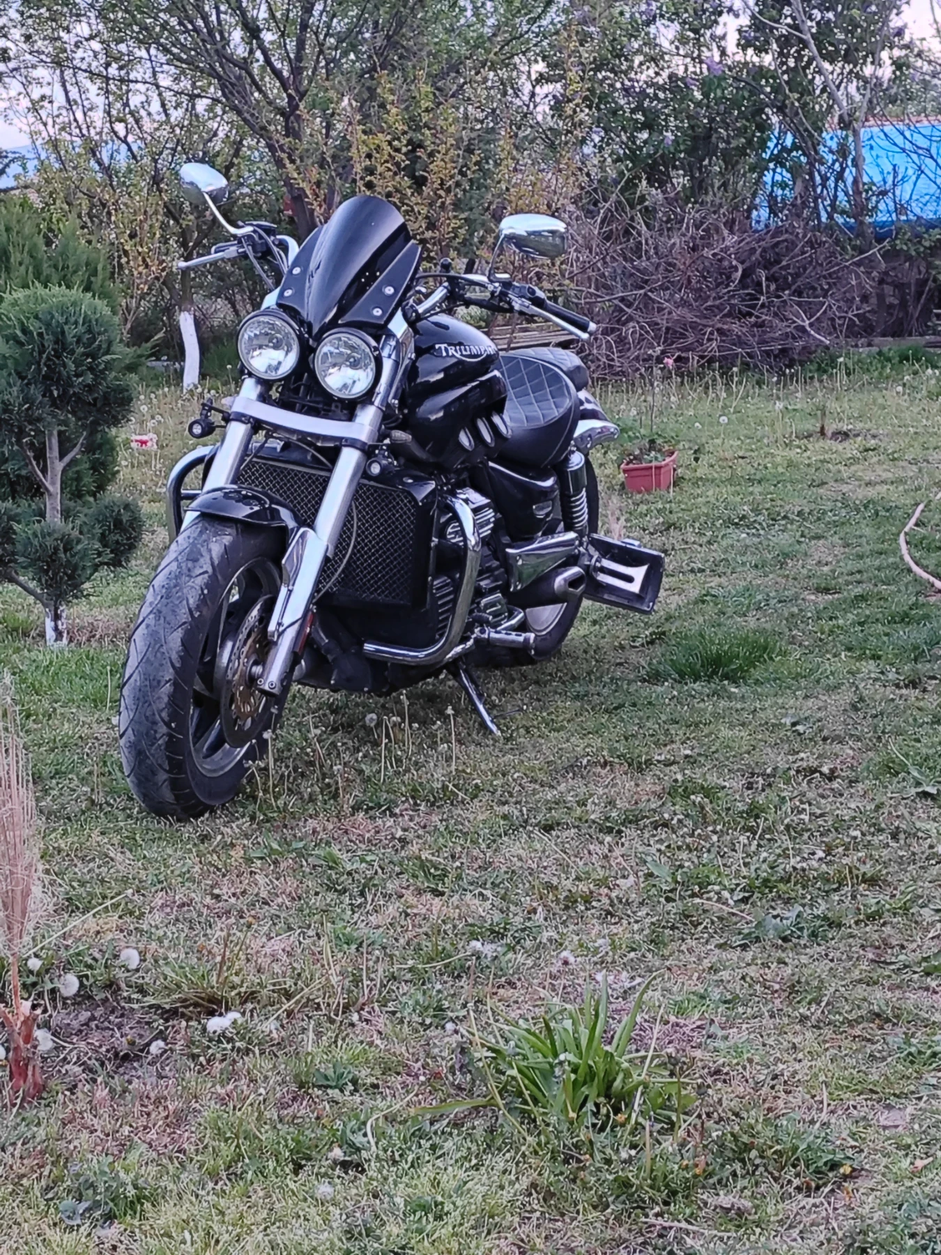 Triumph Rocket