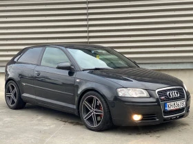     Audi A3 8P 2TFSI  /