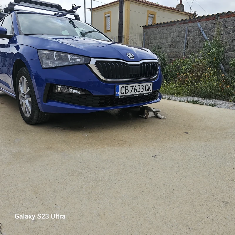 Skoda Scala 1, снимка 14 - Автомобили и джипове - 48433733