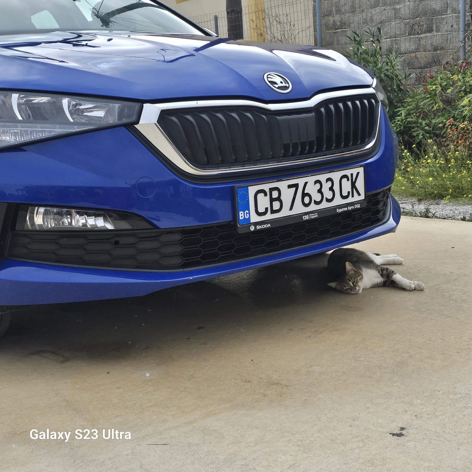 Skoda Scala  . | Mobile.bg   13