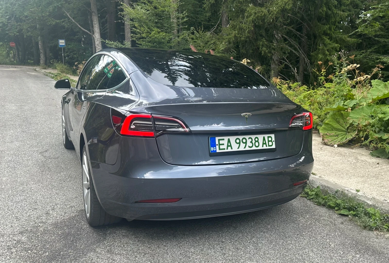 Tesla Model 3  - изображение 3