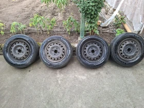 ������ ����
