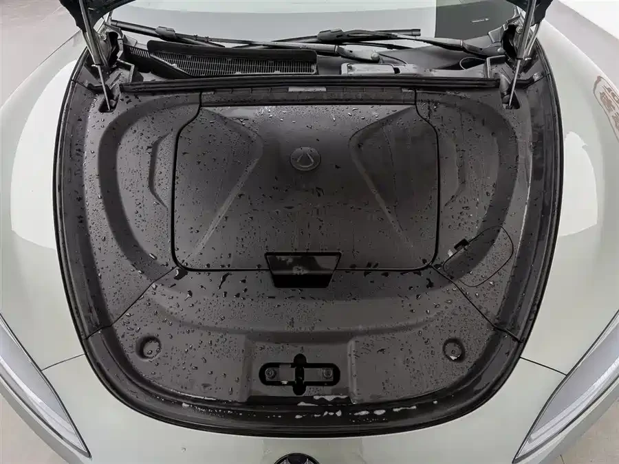 Denza 9 GT Pro Version 100 kw | Mobile.bg � ����������� 6