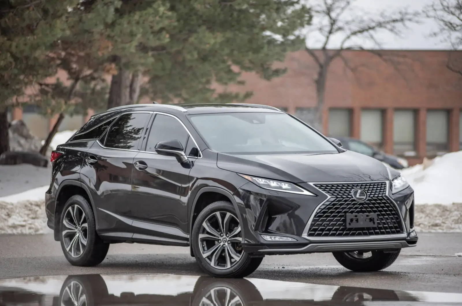 Lexus RX 350 2020 Lexus RX 350 Luxury, снимка 3 - Автомобили и джипове - 53783500