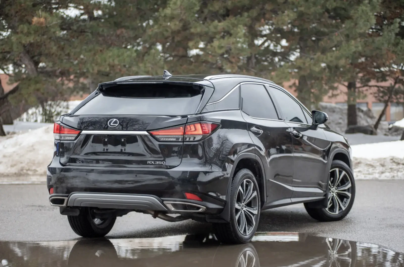 Lexus RX 350 2020 Lexus RX 350 Luxury, снимка 4 - Автомобили и джипове - 53783500