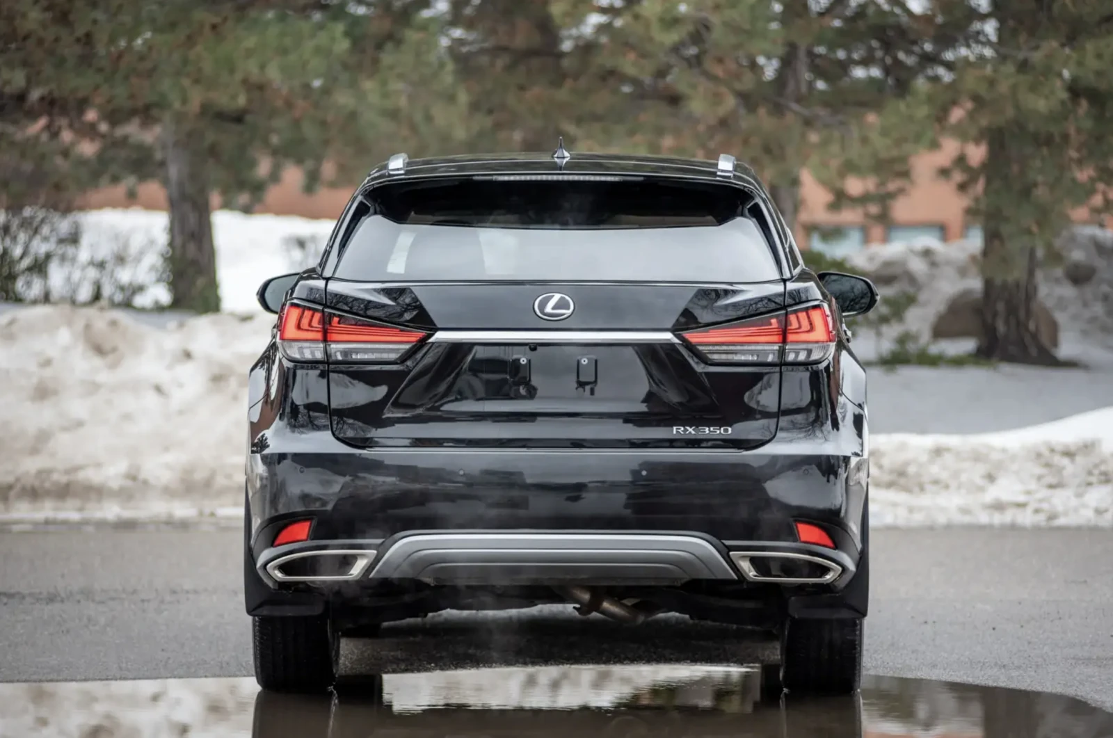 Lexus RX 350 2020 Lexus RX 350 Luxury, снимка 5 - Автомобили и джипове - 53783500