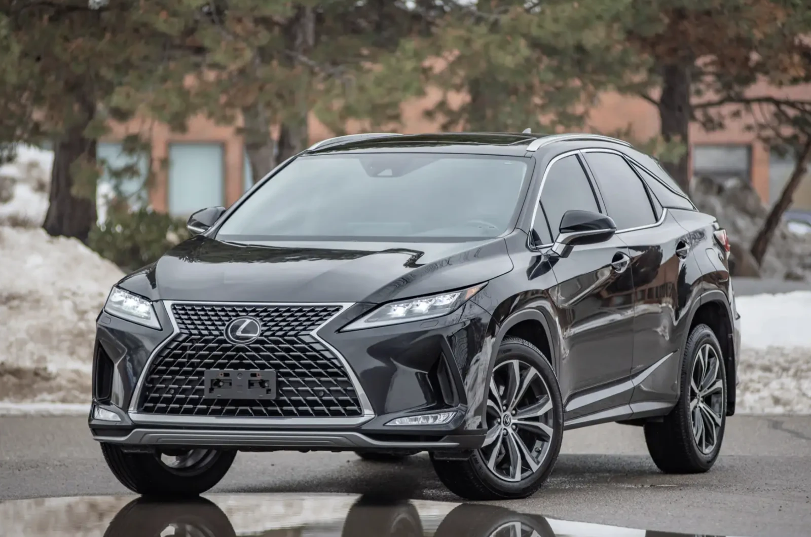 Lexus RX 350 2020 Lexus RX 350 Luxury