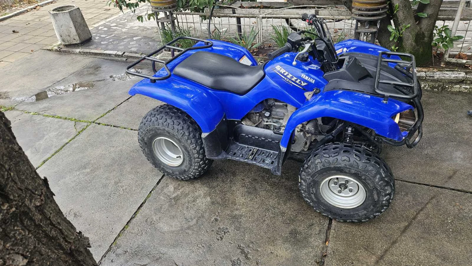 Yamaha Grizzly 125 - изображение 4