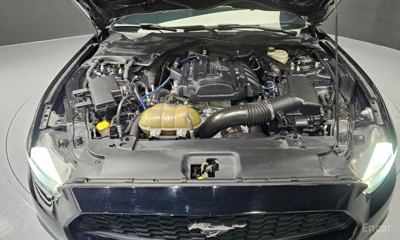 Ford Mustang, снимка 6 - Автомобили и джипове - 53456444