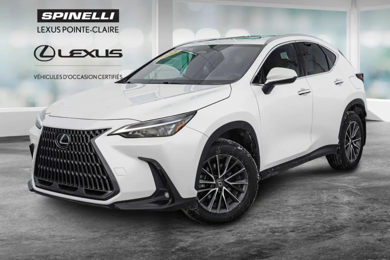 Lexus NX 350h 2022 Lexus NX 350h | Auto.bg — изображение 1