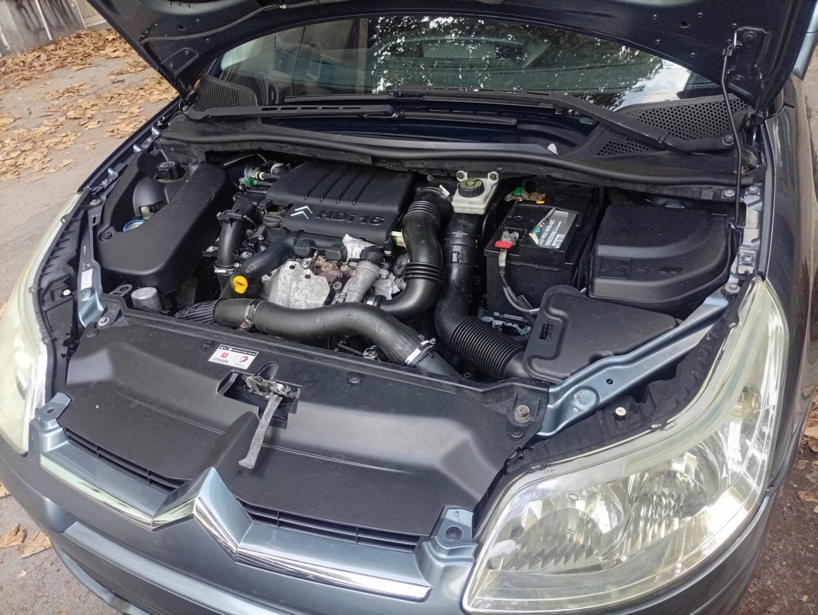 Citroen C4  - изображение 5