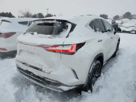 Lexus NX 450 * 450H+ * CARFAX * БЕЗ ПЪРВОНАЧАЛНА ВНОСКА - 39000 € / 76277.37 лв. - 71786002 3